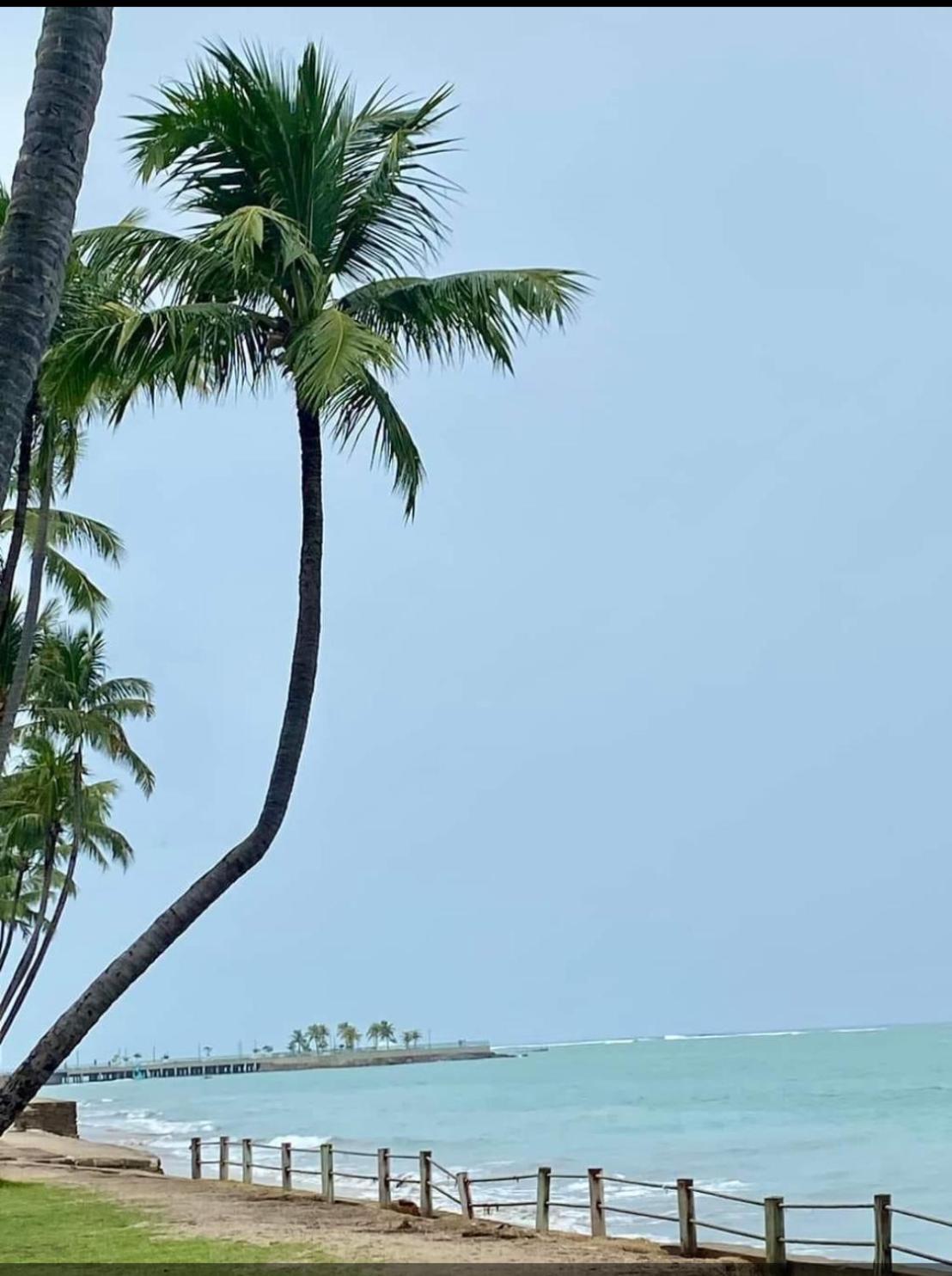 Lindo Apartamento De Frente Para A Praia De Pajucara Maceió Eksteriør billede
